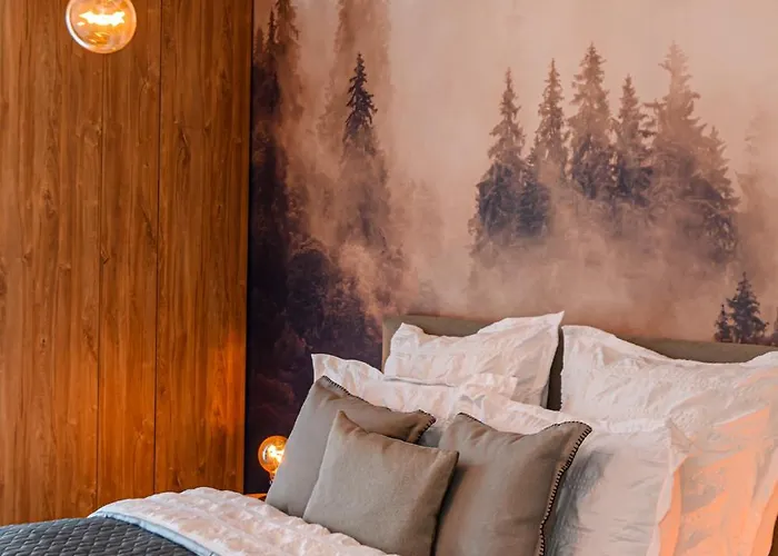 Apartament Larabelle Coresi Braszów